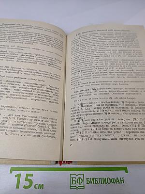 Пособие для занятий по русскому языку в старших классах средней школы