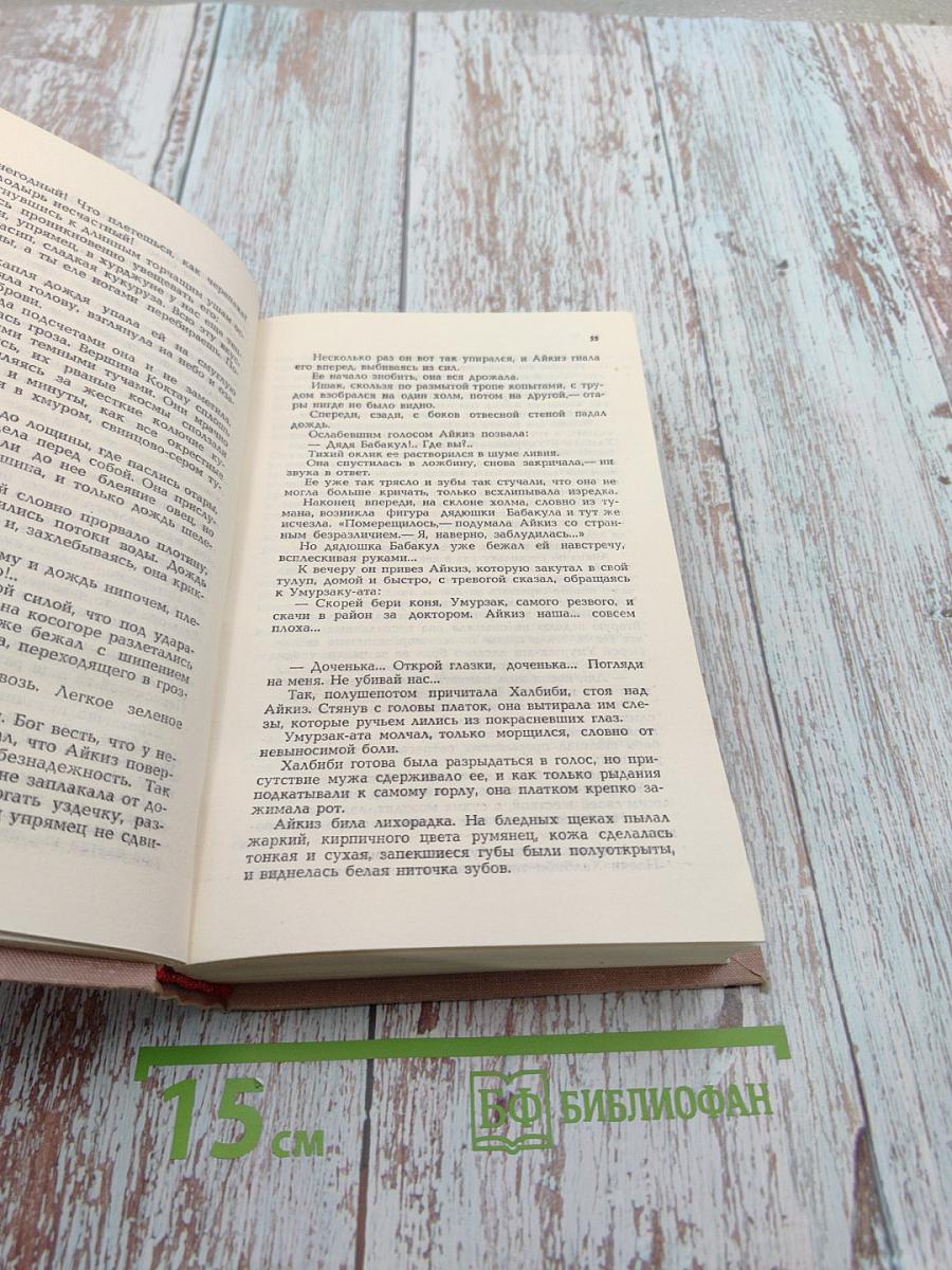 Победители. Сильнее бури