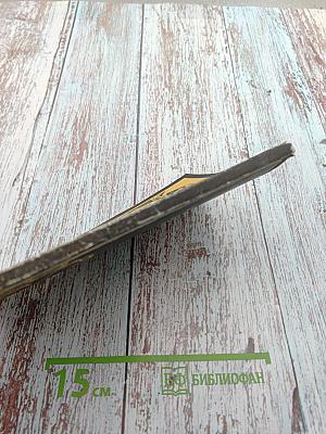 Формирование у учащихся классового подхода при изучении истории в 5 классе. Пособие для учителя