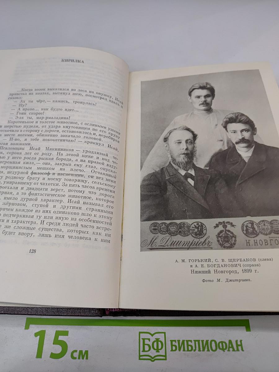 Художественные произведения. Том Четвертый: Фома Гордеев, Рассказы, Очерки, Наброски, Стихи (1897-1899)