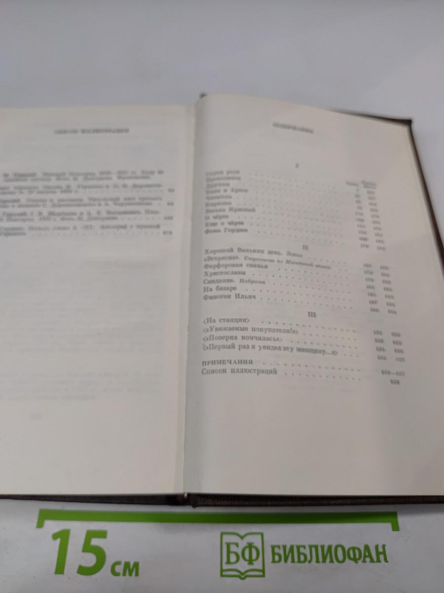 Художественные произведения. Том Четвертый: Фома Гордеев, Рассказы, Очерки, Наброски, Стихи (1897-1899)