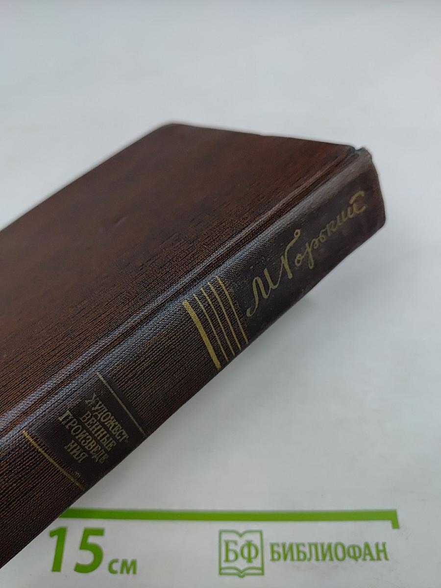 Художественные произведения. Том Четвертый: Фома Гордеев, Рассказы, Очерки, Наброски, Стихи (1897-1899)