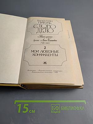 Слово и дело. Роман-хроника времен Анны Иоанновны. В двух книгах. Книга 2: Мои любезные конфиденты