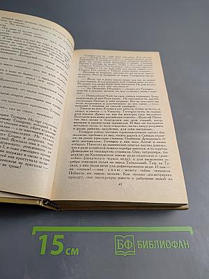 Слово и дело. Роман-хроника времен Анны Иоанновны. В двух книгах. Книга 2: Мои любезные конфиденты