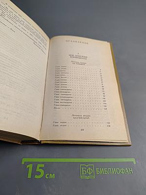 Слово и дело. Роман-хроника времен Анны Иоанновны. В двух книгах. Книга 2: Мои любезные конфиденты