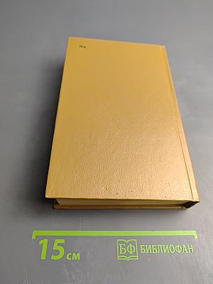 Слово и дело. Роман-хроника времен Анны Иоанновны. В двух книгах. Книга 2: Мои любезные конфиденты