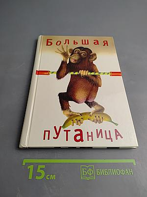 Большая путаница