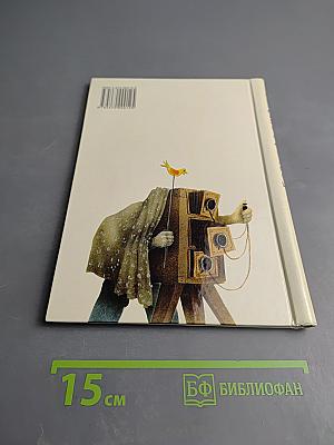 Большая путаница