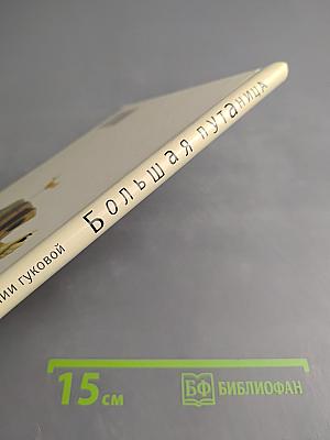 Большая путаница