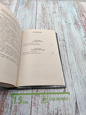 Лебединая дорога