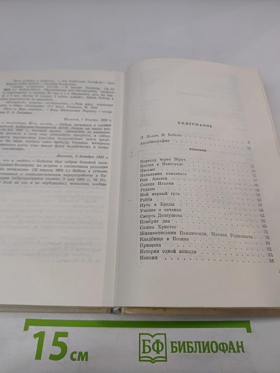 И. Бабель. Избранное