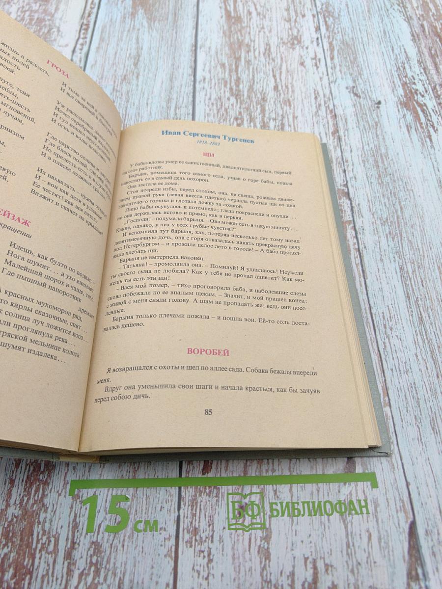 В мире русской литературы. Книга для внеклассного чтения. 5 класс