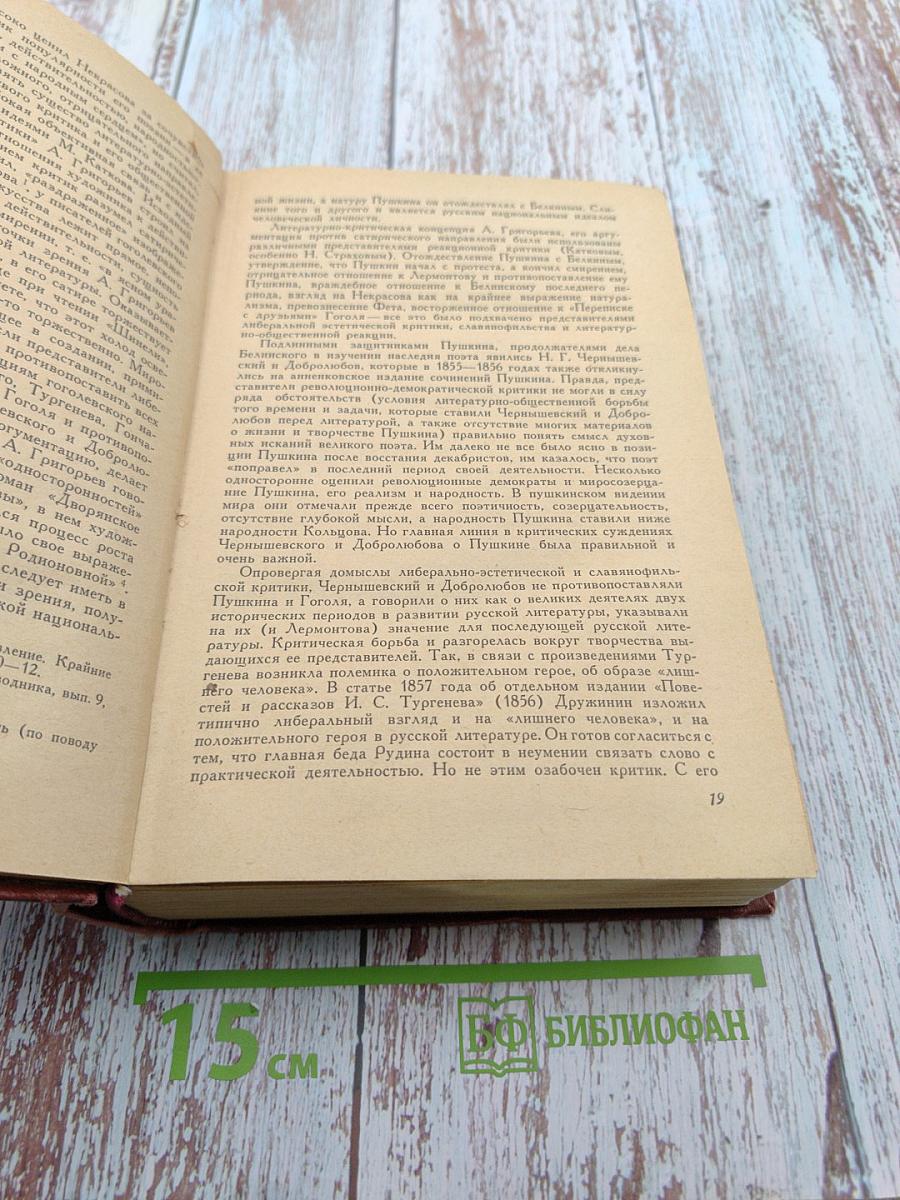История русской литературы XIX века. Том II