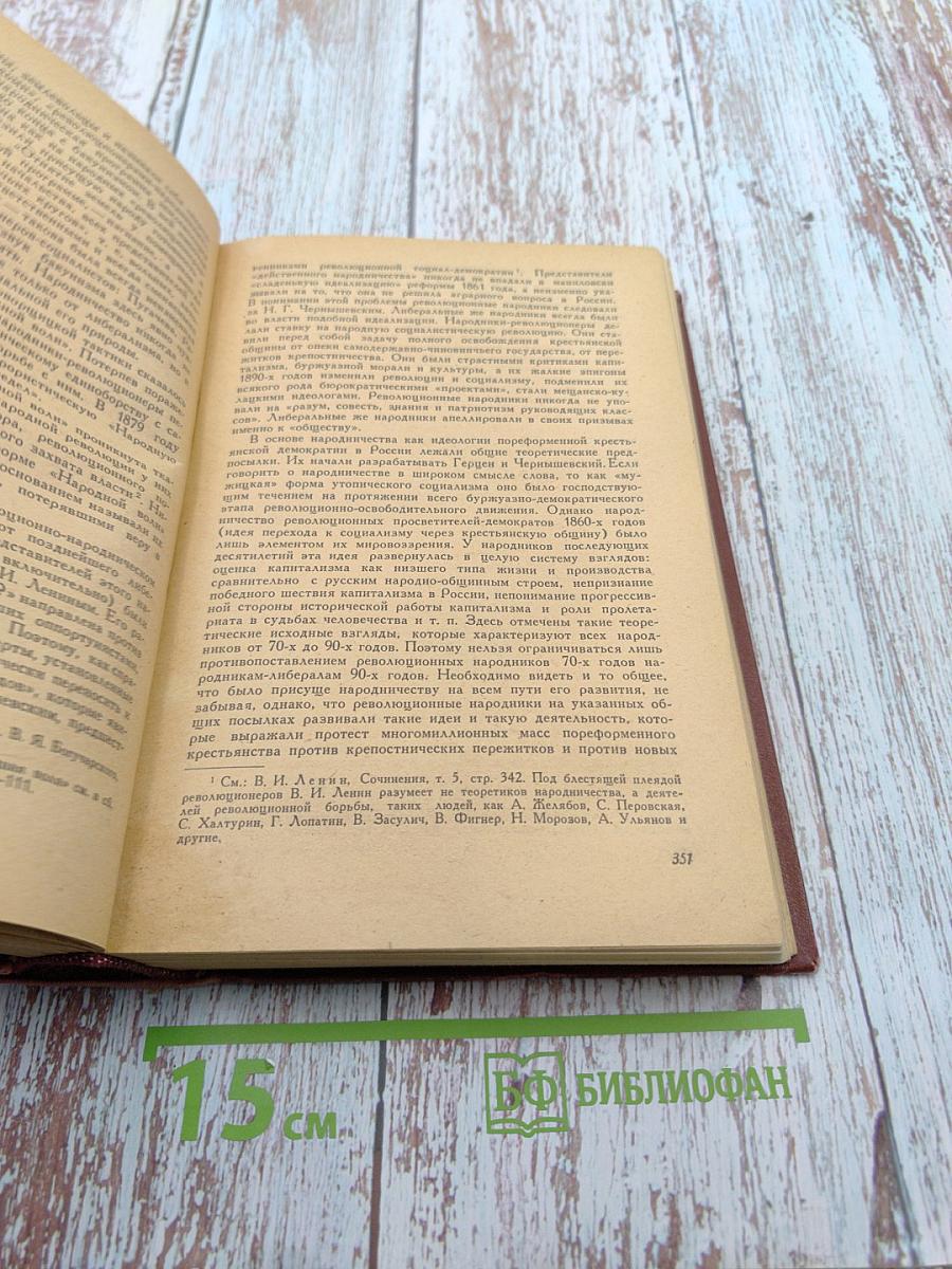 История русской литературы XIX века. Том II