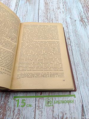 История русской литературы XIX века. Том II