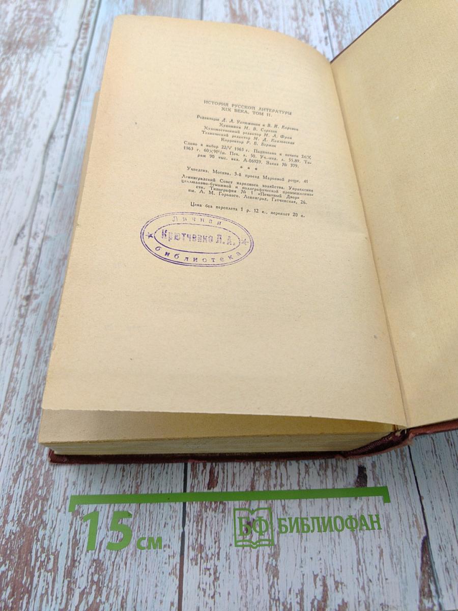 История русской литературы XIX века. Том II