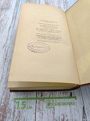 История русской литературы XIX века. Том II