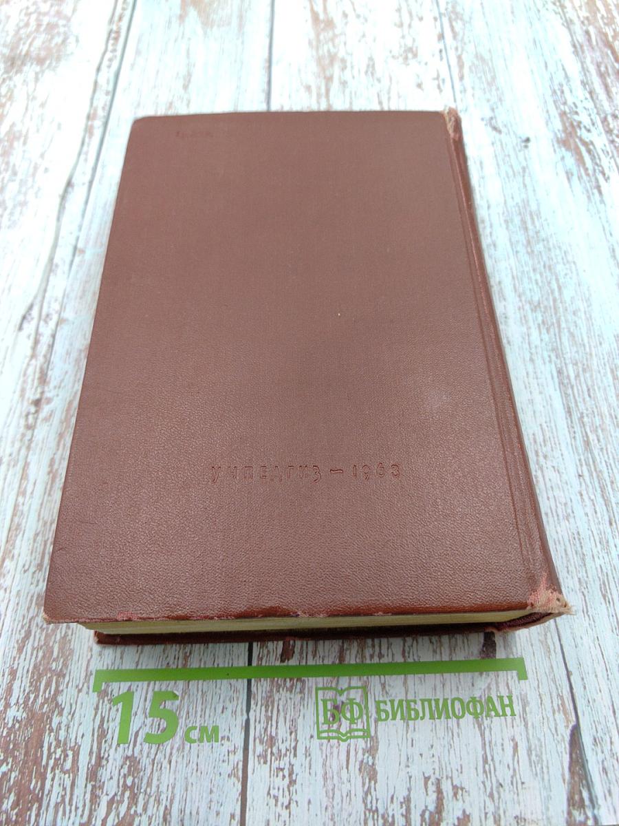 История русской литературы XIX века. Том II