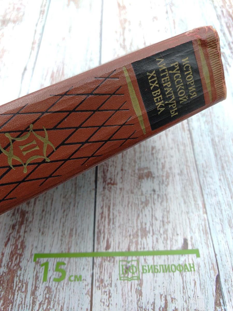 История русской литературы XIX века. Том II