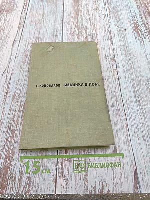 Былинка в поле