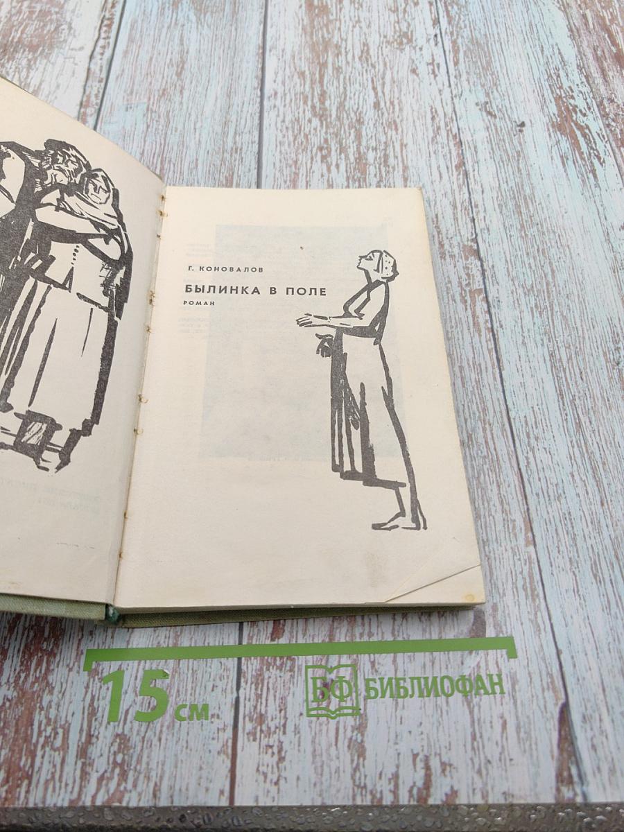 Былинка в поле