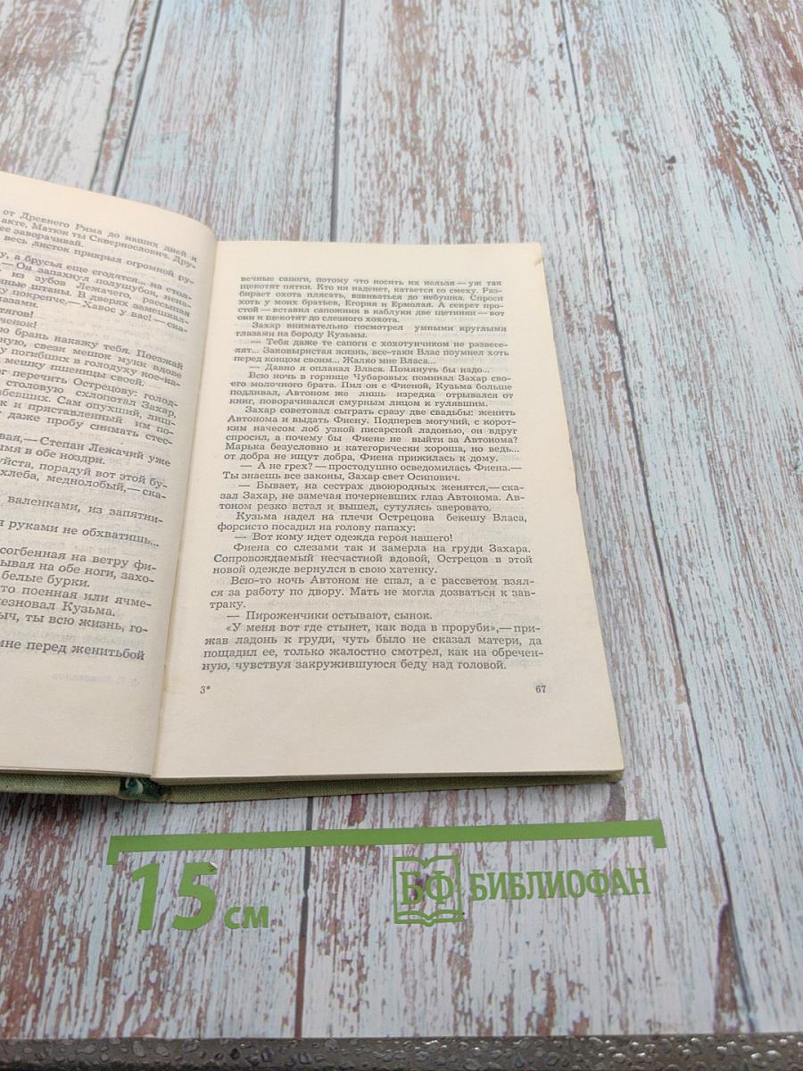 Былинка в поле