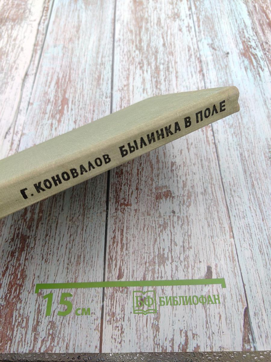 Былинка в поле