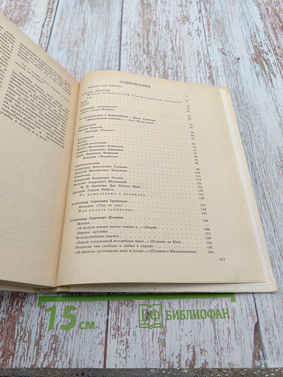 Художественная литература. Книга для учащихся 9 класса