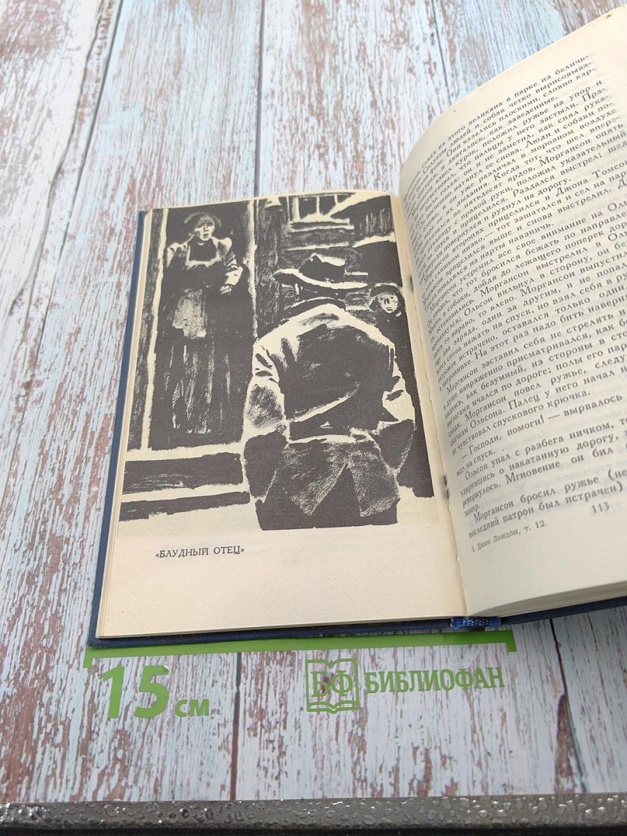 Собрание сочинений в тринадцати томах. Том 12