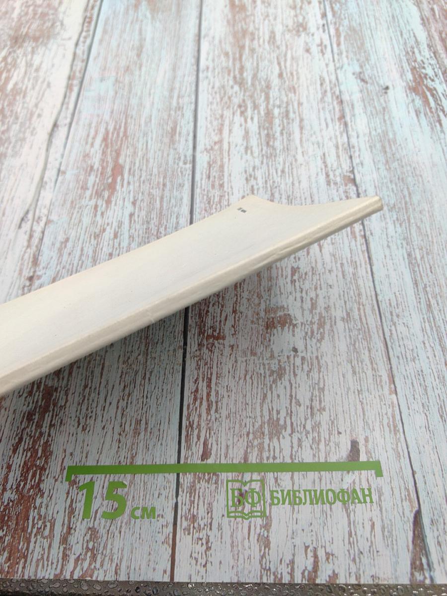 Литература. Контрольные задания (с программой и методическими указаниями) для учащихся-заочников средних специальных учебных заведений на базе 8 классов неполной средней школы