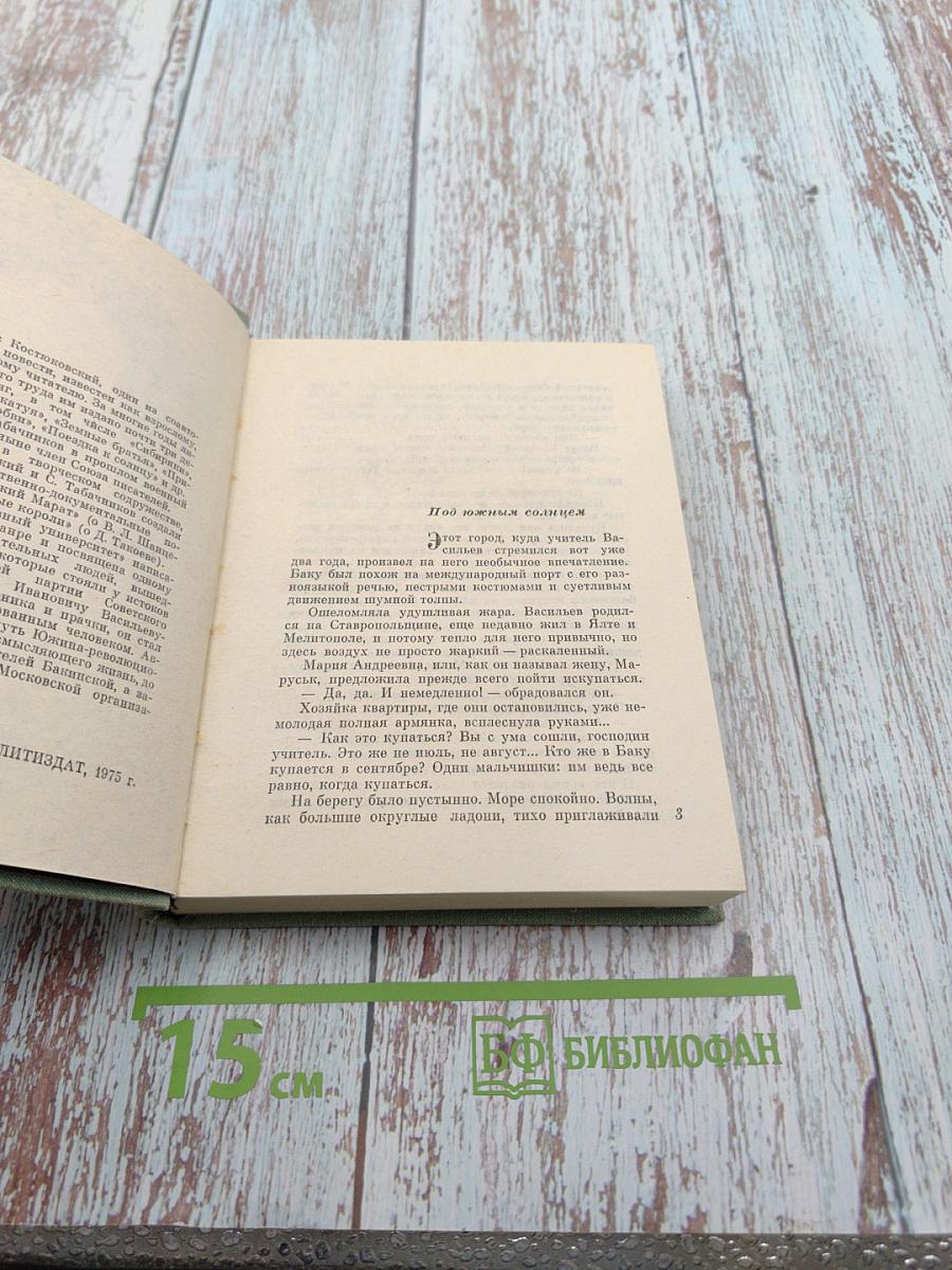 Главный университет. Повесть о Михаиле Васильеве-Южине