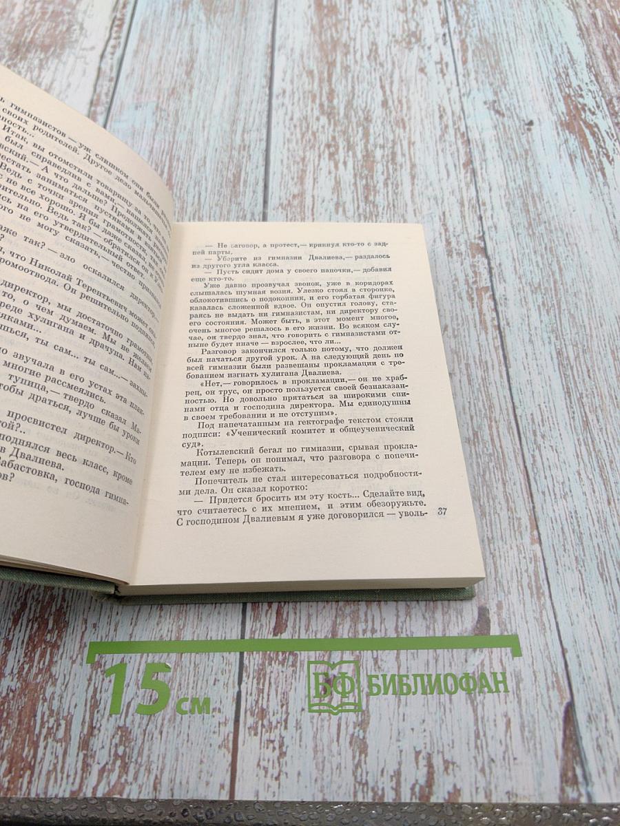 Главный университет. Повесть о Михаиле Васильеве-Южине