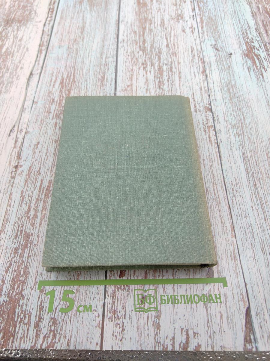 Главный университет. Повесть о Михаиле Васильеве-Южине