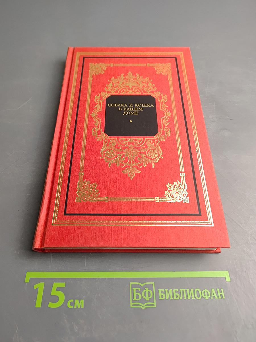 Собака и кошка в вашем доме