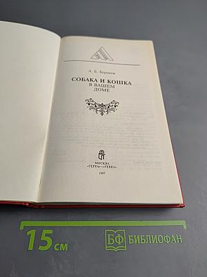 Собака и кошка в вашем доме