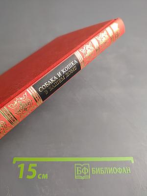 Собака и кошка в вашем доме