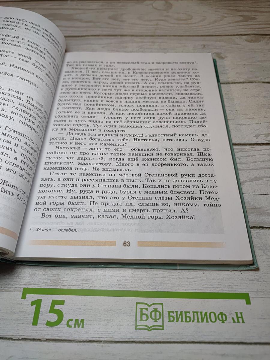Литература. 5 класс. В двух частях. Часть 2