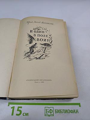 И один в поле воин