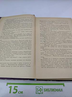 И один в поле воин