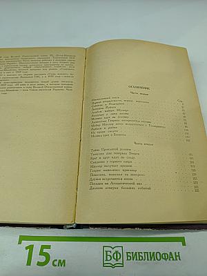 И один в поле воин