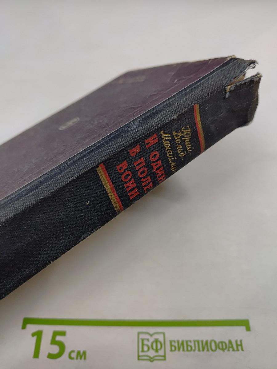 И один в поле воин