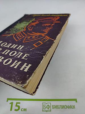 И один в поле воин