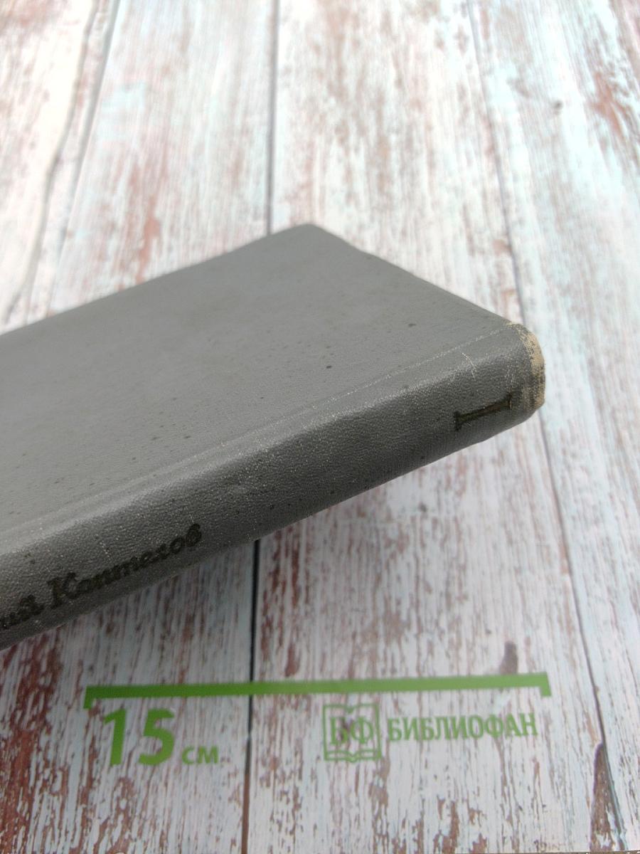 Возгорится пламя. Книга первая