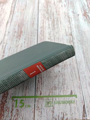 Избранные произведения. Том первый. Стихотворения, песни, сатира