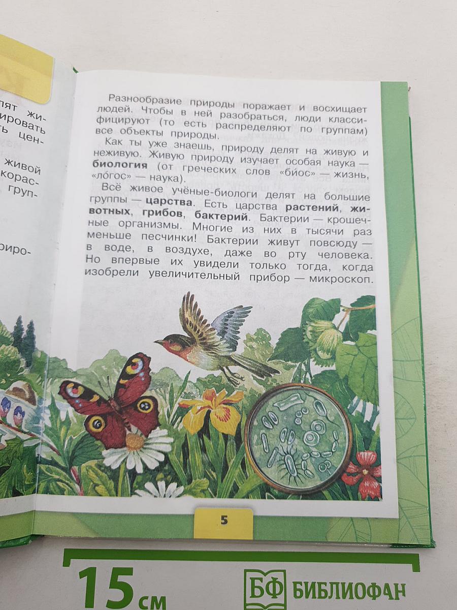 Окружающий мир