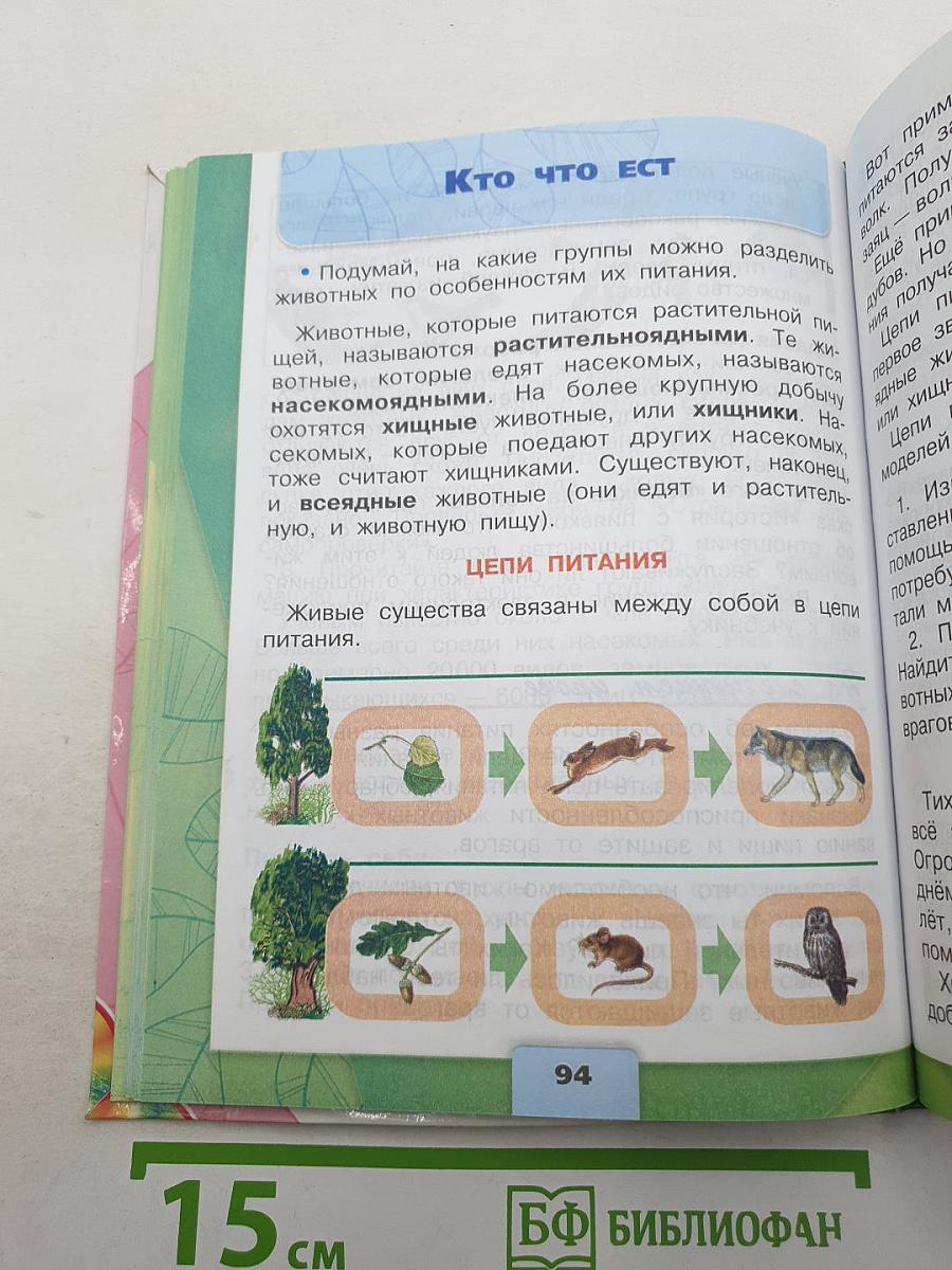 Окружающий мир