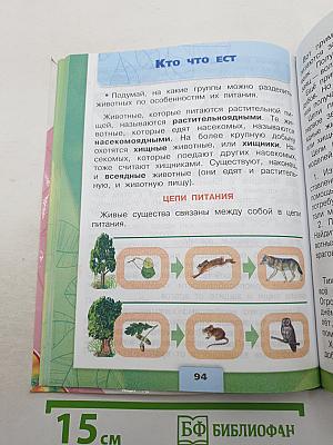 Окружающий мир