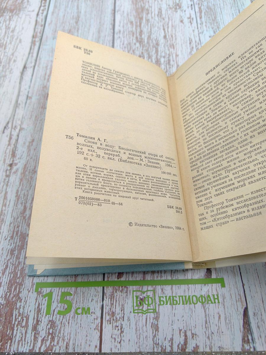 Снова в воду