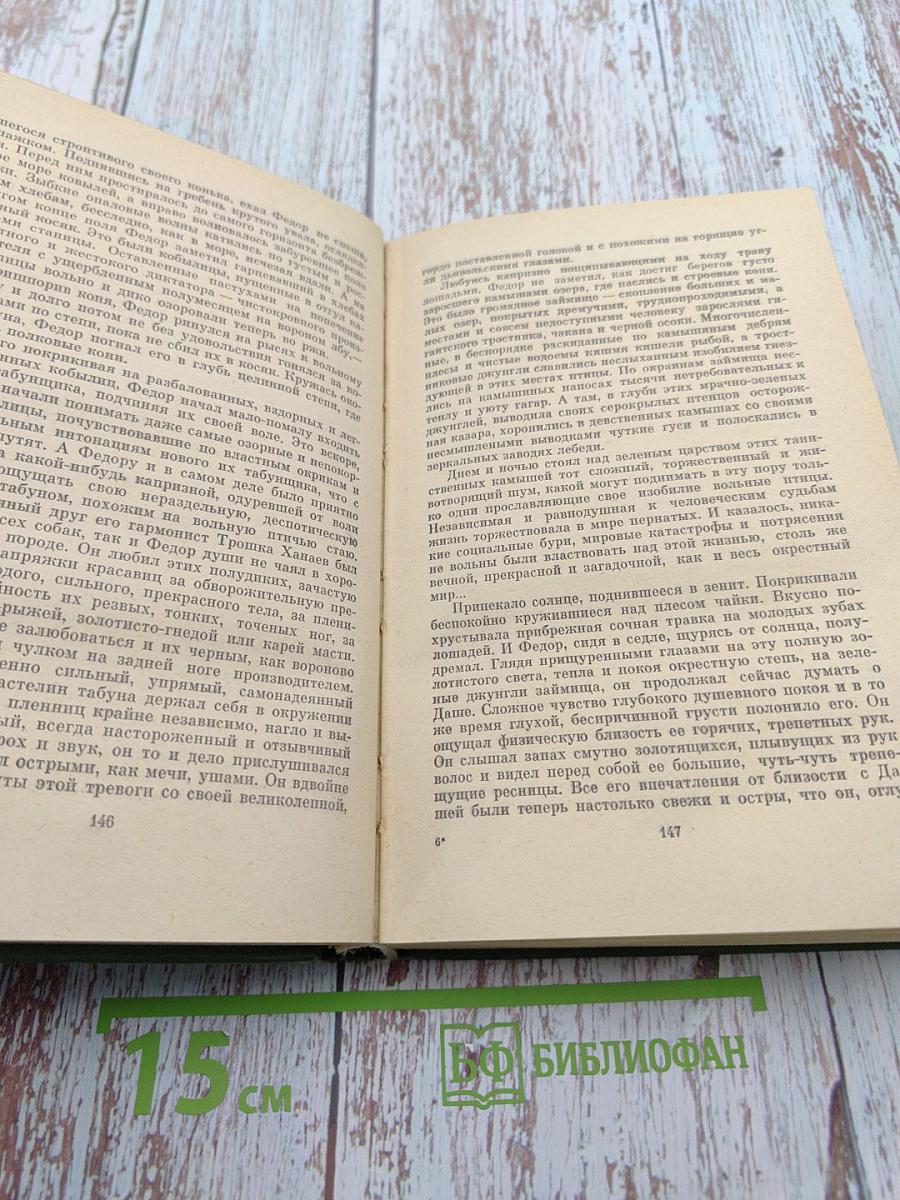 Горькая линия