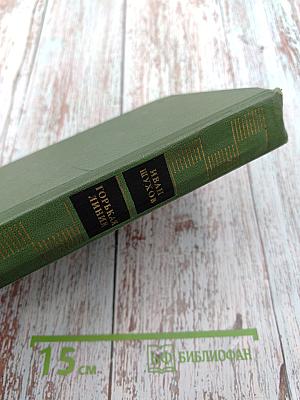 Горькая линия